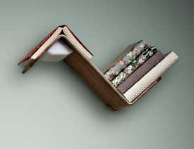 Lili Lite�����L���^���ܟ��OӋ���p