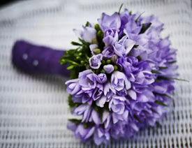 7���zӰ���Ɏ��������Ĕz���δ�Ƭ