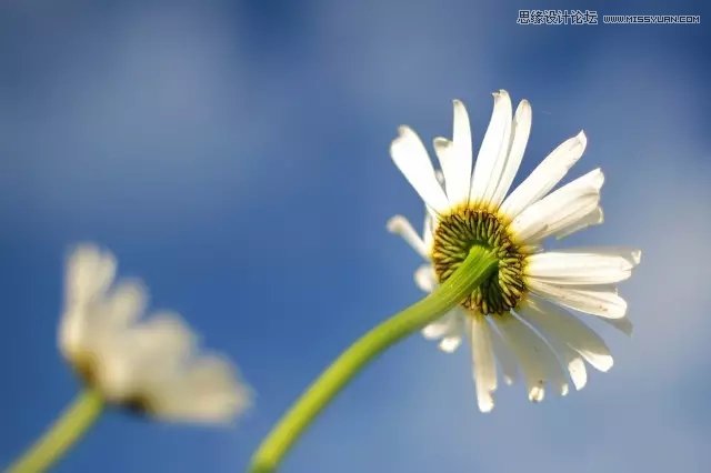 7個攝影技巧幫助新手拍攝旅游大片