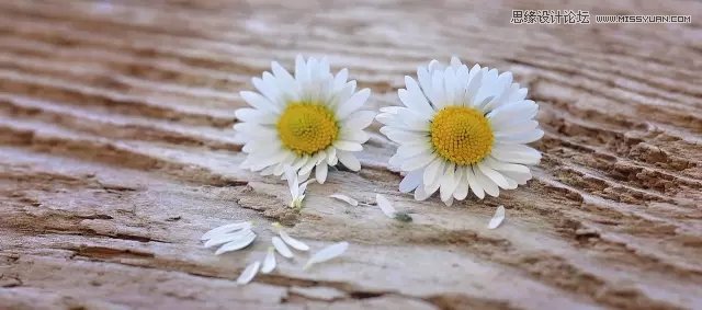 7個攝影技巧幫助新手拍攝旅游大片