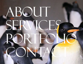 2015�W퓌����OӋڅ�ݺͰ�����Ʒ����