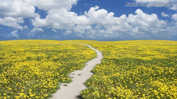 攝影大師教您揭秘攝影構圖的3個作用