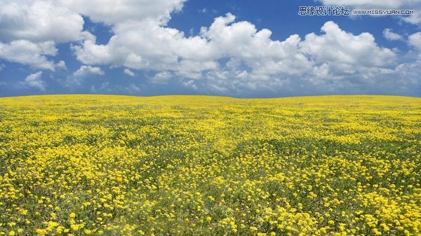 攝影大師教您揭秘攝影構圖的3個作用