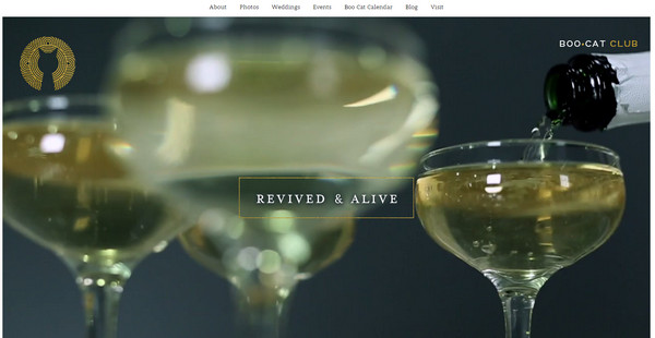 詳細解析循環視頻在網站設計中的應用