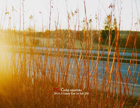 �zӰ����ν�Ů�����Ĕz�r�е��L����Ƭ