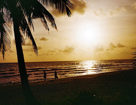 ��ν�Ů�����Ĕz�r(sh��)����Ů����Ȼ�L(f��ng)��