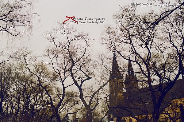 如何教女朋友拍攝時尚美女的自然風景