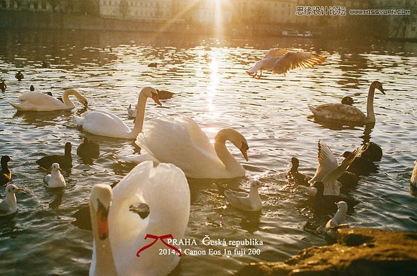 如何教女朋友拍攝時尚美女的自然風景