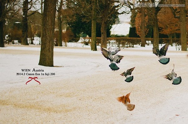 如何教女朋友拍攝時尚美女的自然風景