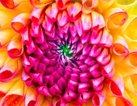 PhotoshopԔ�������ɰ湤�ߵĺ��õ�ʹ�ü���