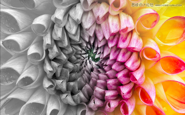 PhotoshopԔ�������ɰ湤�ߵĺ��õ�ʹ�ü���