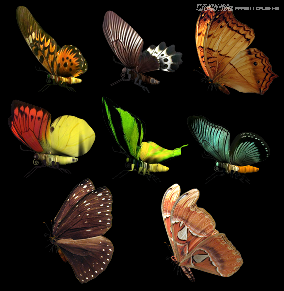 Photoshop�ϳ�ͯԒ�����СŮ����������