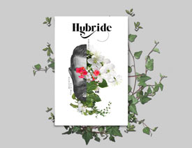 Hybride����Ư�����s־�OӋ���p