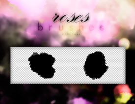 �Ї��Lī�E�ɰ�Ч��PS�Pˢ