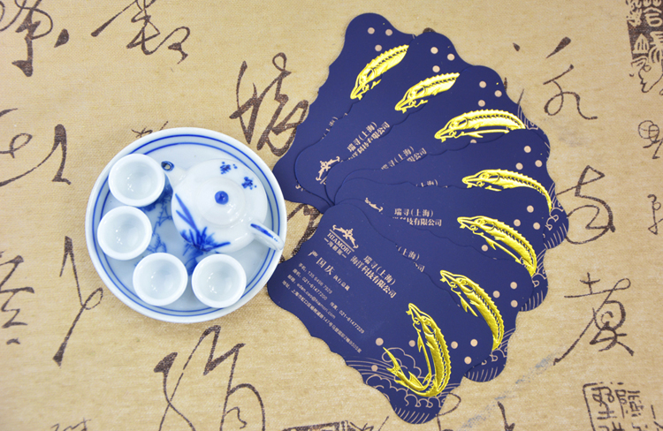 精選高大上的中文名片案例設(shè)計欣賞