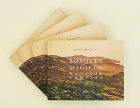 Arboles Magicos���������OӋ���p