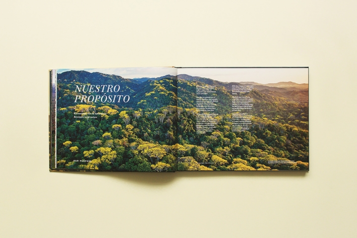 Arboles Magicos���������O(sh��)Ӌ���p