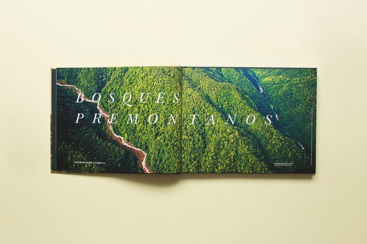 Arboles Magicos���������O(sh��)Ӌ���p