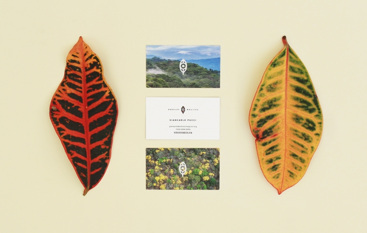 Arboles Magicos���������OӋ���p