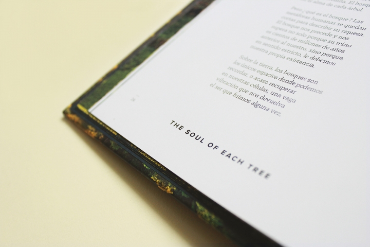 Arboles Magicos���������OӋ���p