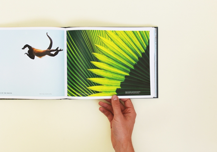 Arboles Magicos���������OӋ���p