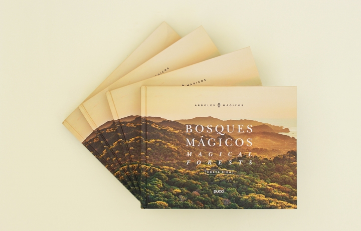 Arboles Magicos���������OӋ���p