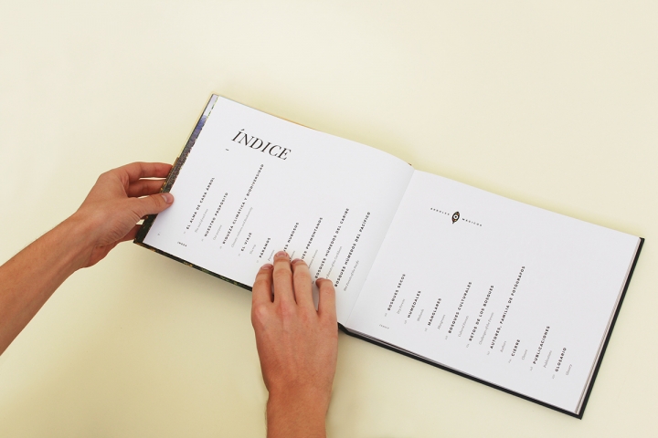 Arboles Magicos���������O(sh��)Ӌ���p