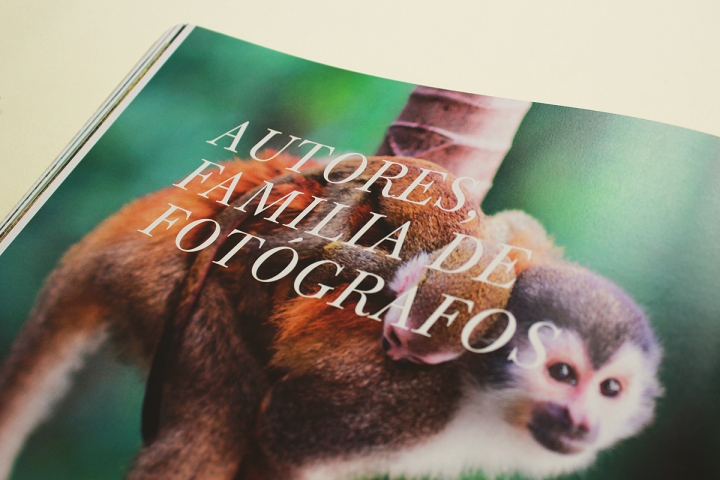 Arboles Magicos���������OӋ���p