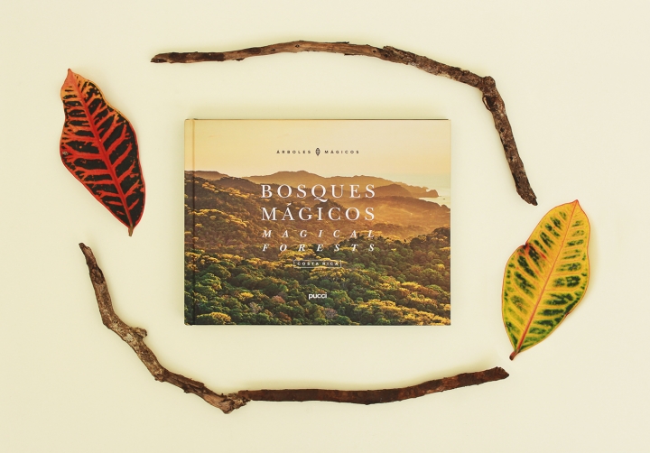 Arboles Magicos���������O(sh��)Ӌ���p