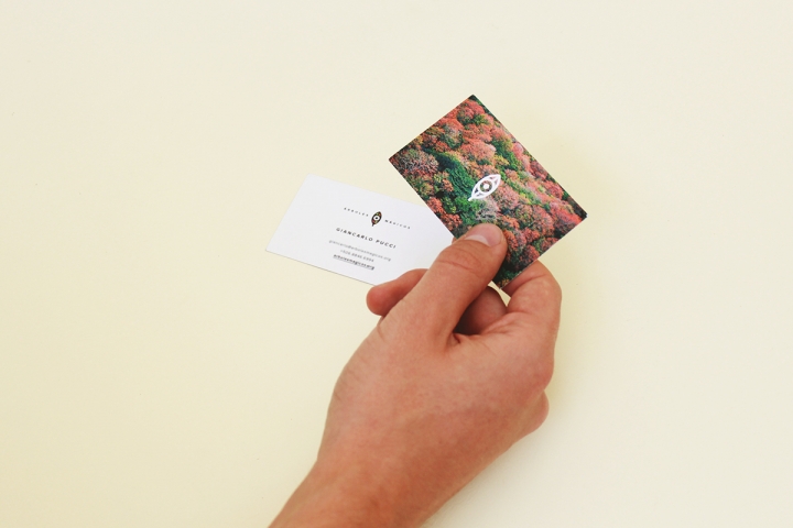 Arboles Magicos���������OӋ���p