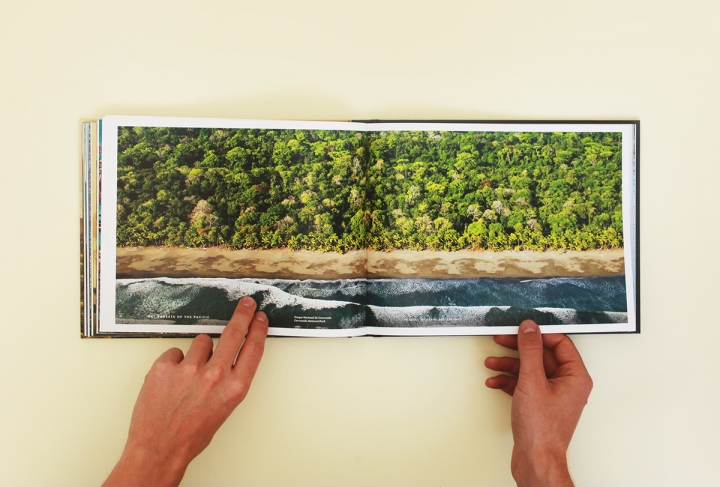 Arboles Magicos���������O(sh��)Ӌ���p