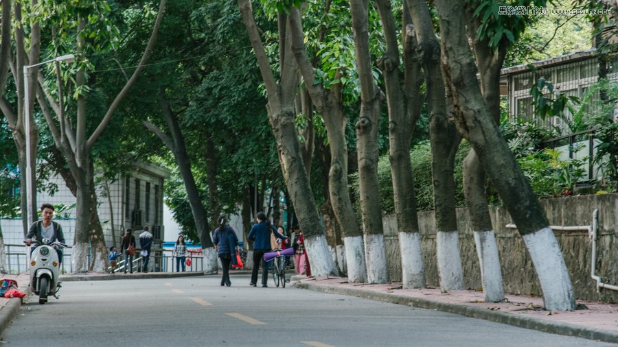 淺談新手攝影師如何生活取景和構圖