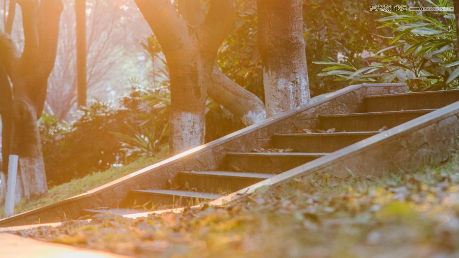 淺談新手攝影師如何生活取景和構圖