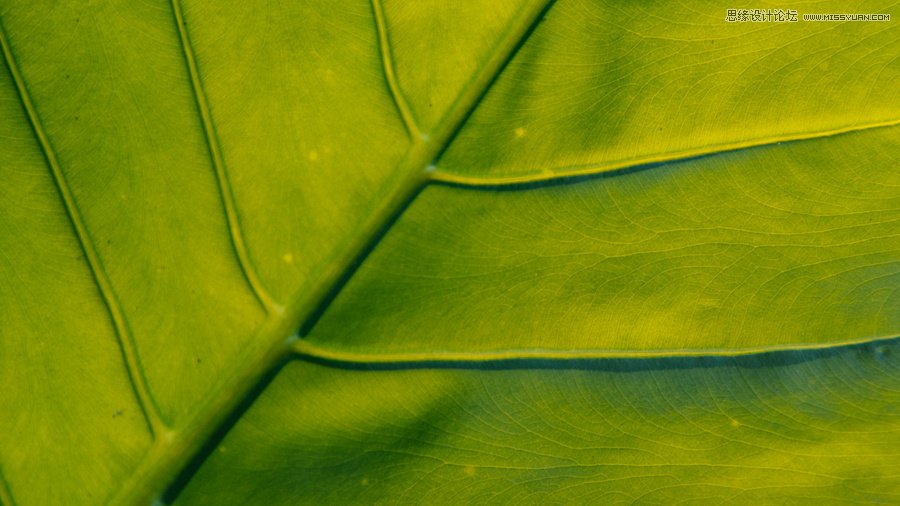 淺談新手攝影師如何生活取景和構圖