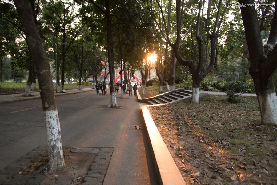 淺談新手攝影師如何生活取景和構圖