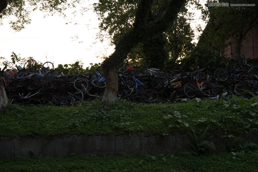 淺談新手攝影師如何生活取景和構圖