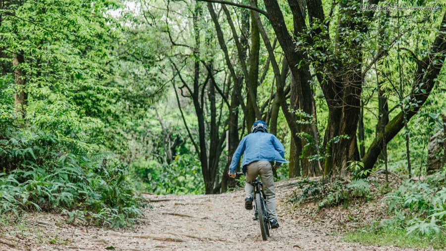 淺談新手攝影師如何生活取景和構圖