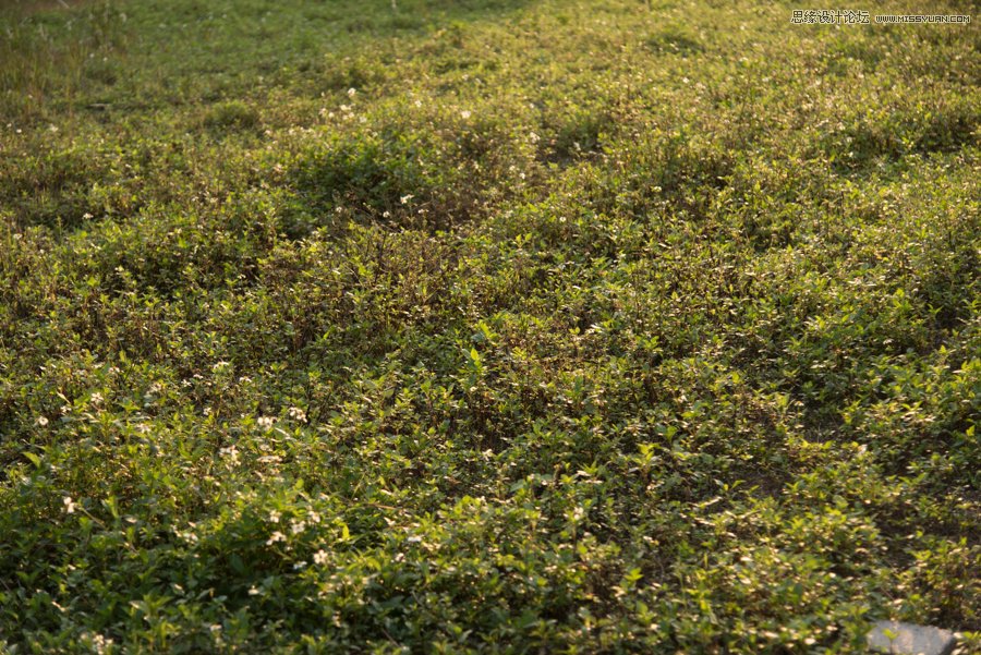 淺談新手攝影師如何生活取景和構圖