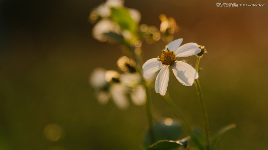 淺談新手攝影師如何生活取景和構圖