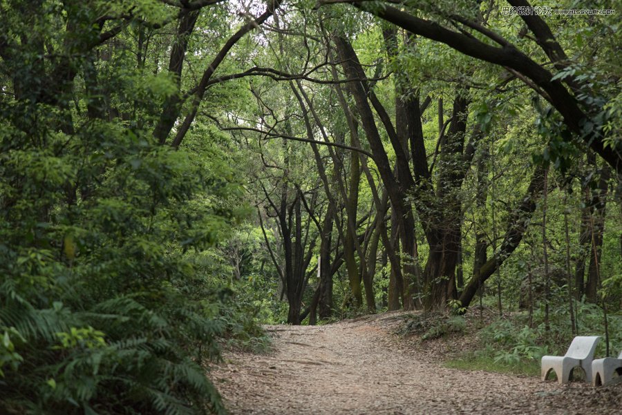 淺談新手攝影師如何生活取景和構圖