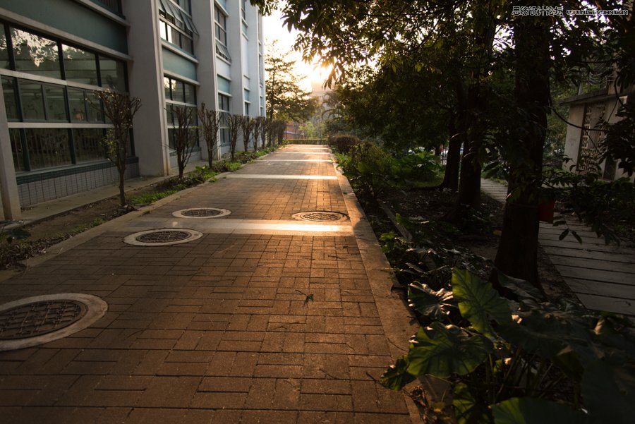 淺談新手攝影師如何生活取景和構圖