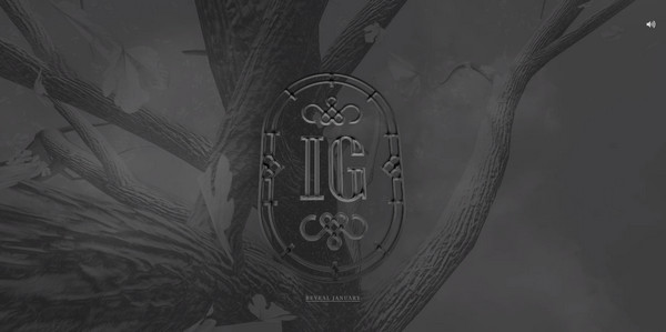 精選全面的年度總結(jié)優(yōu)秀網(wǎng)頁設(shè)計欣賞