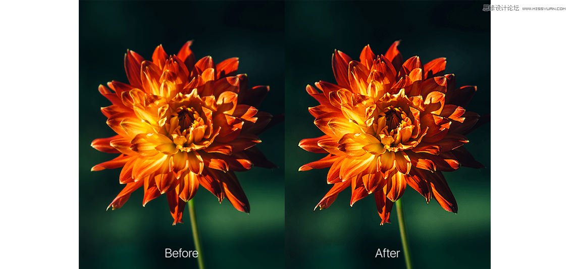 25款輕巧實(shí)用的Sketch插件大合集