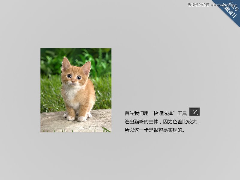 Photoshop����Ҫ����7������С����