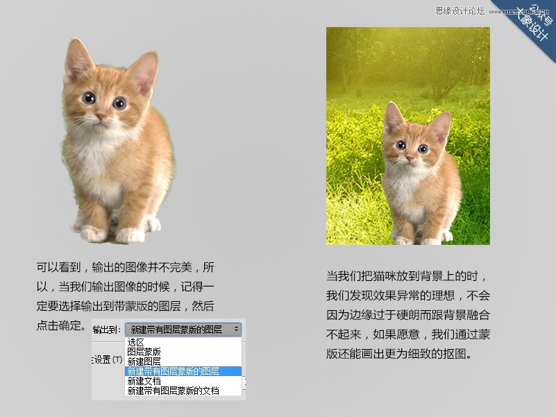 Photoshop����Ҫ����7������С����