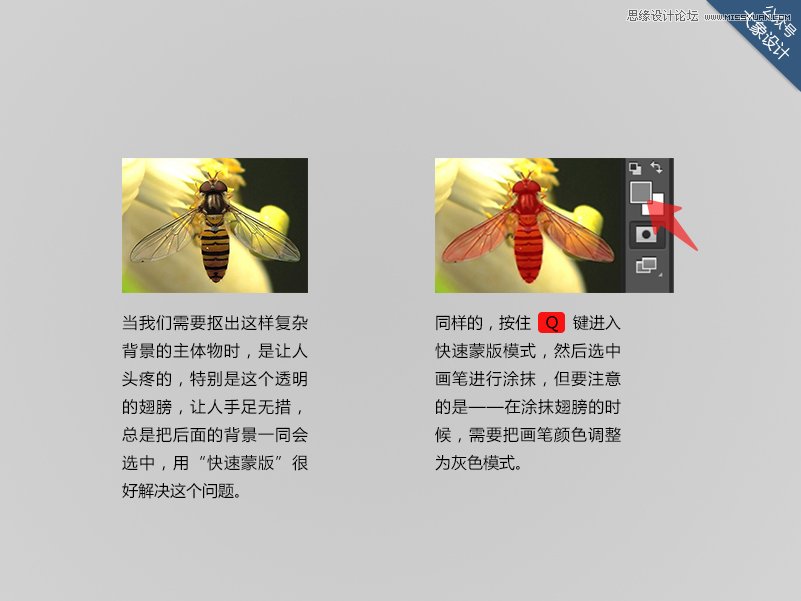 Photoshop����Ҫ����7������С����