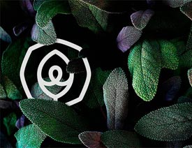 ���xҕ�XЧ��MAX�ă���W��OӋ���p