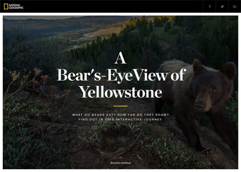 精選視覺效果MAX的優秀網頁設計欣賞