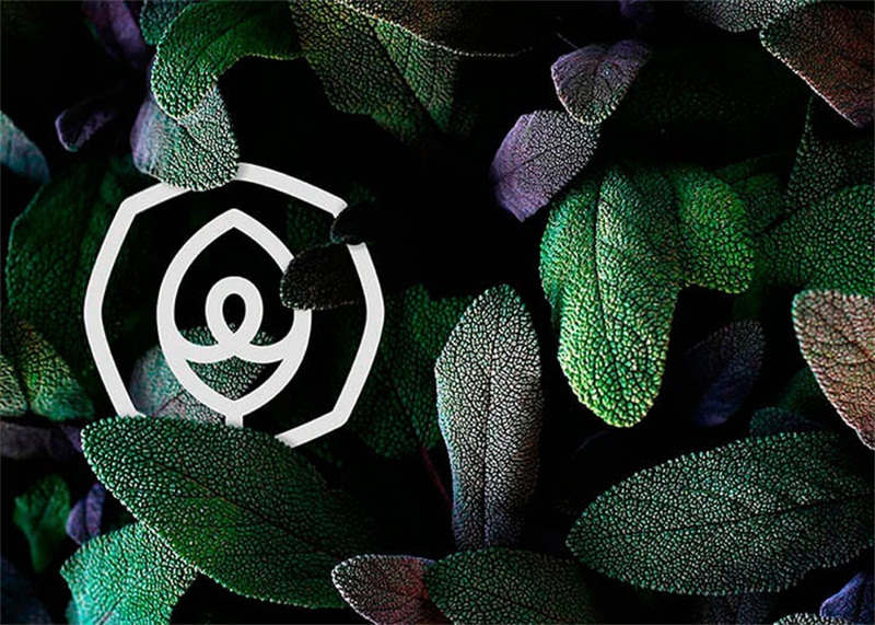 精選視覺(jué)效果MAX的優(yōu)秀網(wǎng)頁(yè)設(shè)計(jì)欣賞