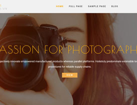 ���x�������Sɫ�{�����ľW��OӋ���p